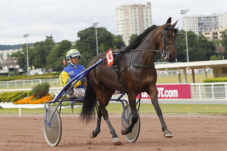 Actualités Hippiques